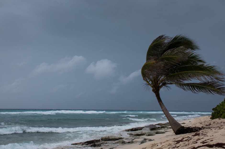 Hurricane weather before the storm reaches the beach. Heavy winds shown blowing palm tree and waves.