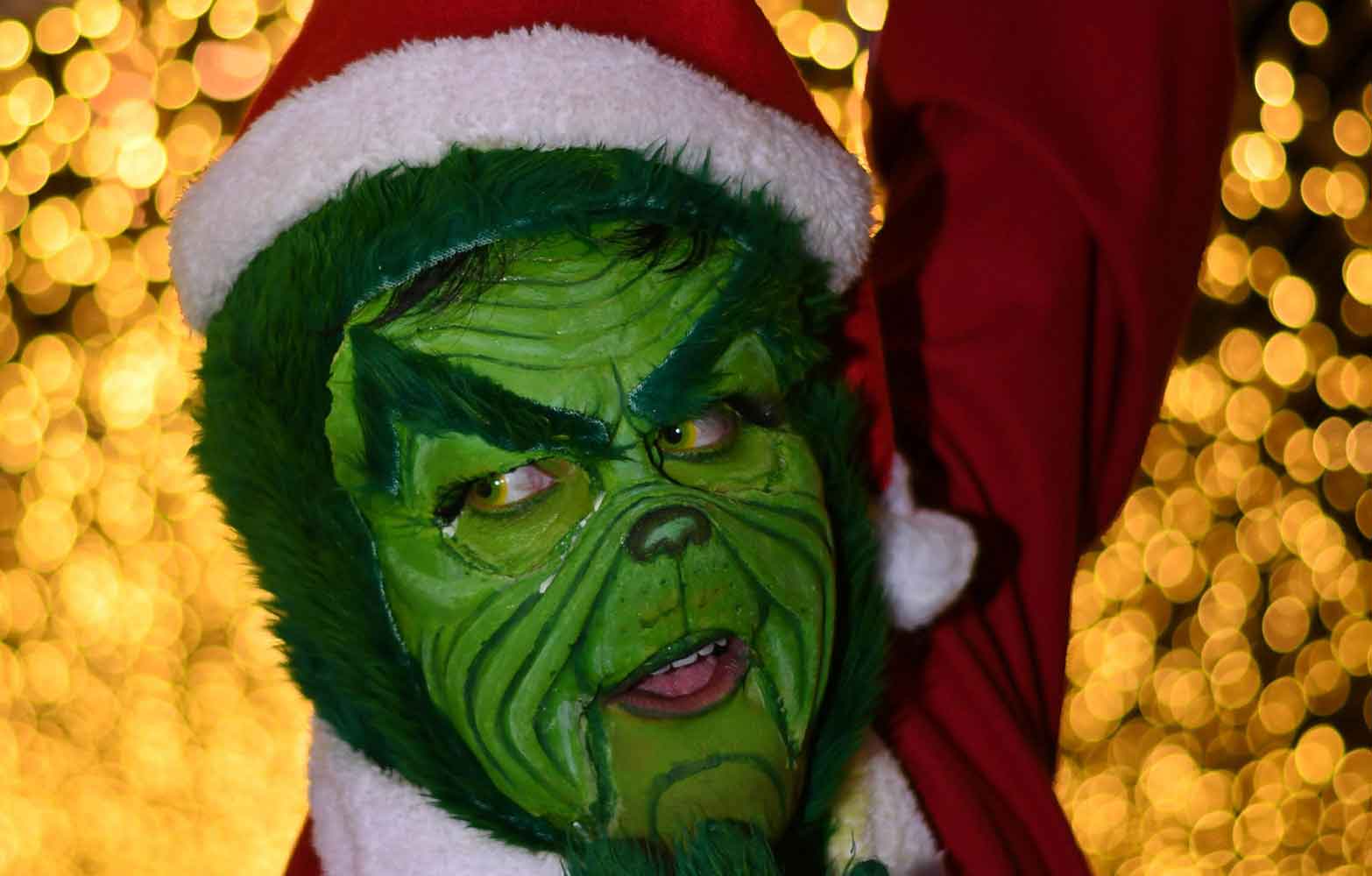 The Ultimate Guide to Universal Studios Grinchmas 2023